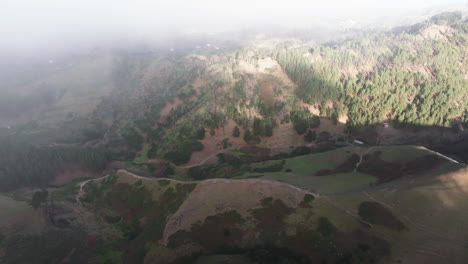 Schöne-Luftaufnahme-über-Den-Kanarischen-Kiefernwald-Und-Durch-Tiefe-Wolken