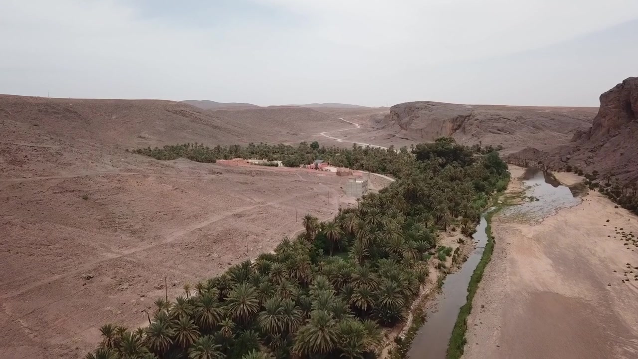 Riprese aeree con drone di uno stretto canale fluviale che scorre attraverso una lussureggiante oasi di palme circondata da un vasto paesaggio desertico in Marocco. Forte contrasto tra acqua, vegetazione e terreno arido, ideale per