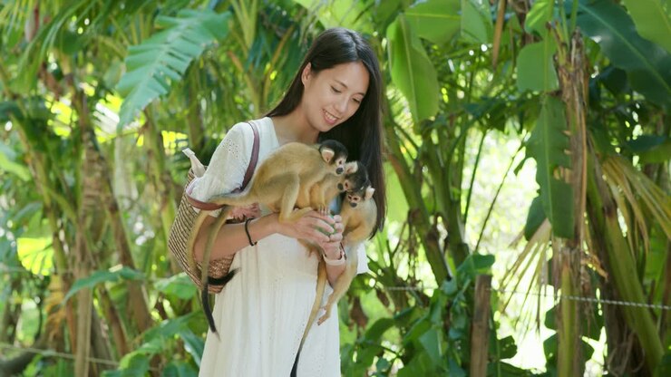 Woman and Squirrel Monkeys