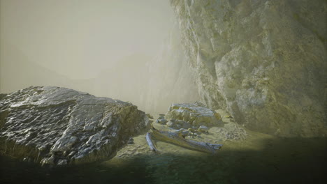 misty coastal landscape with large rocks and driftwood near the shore