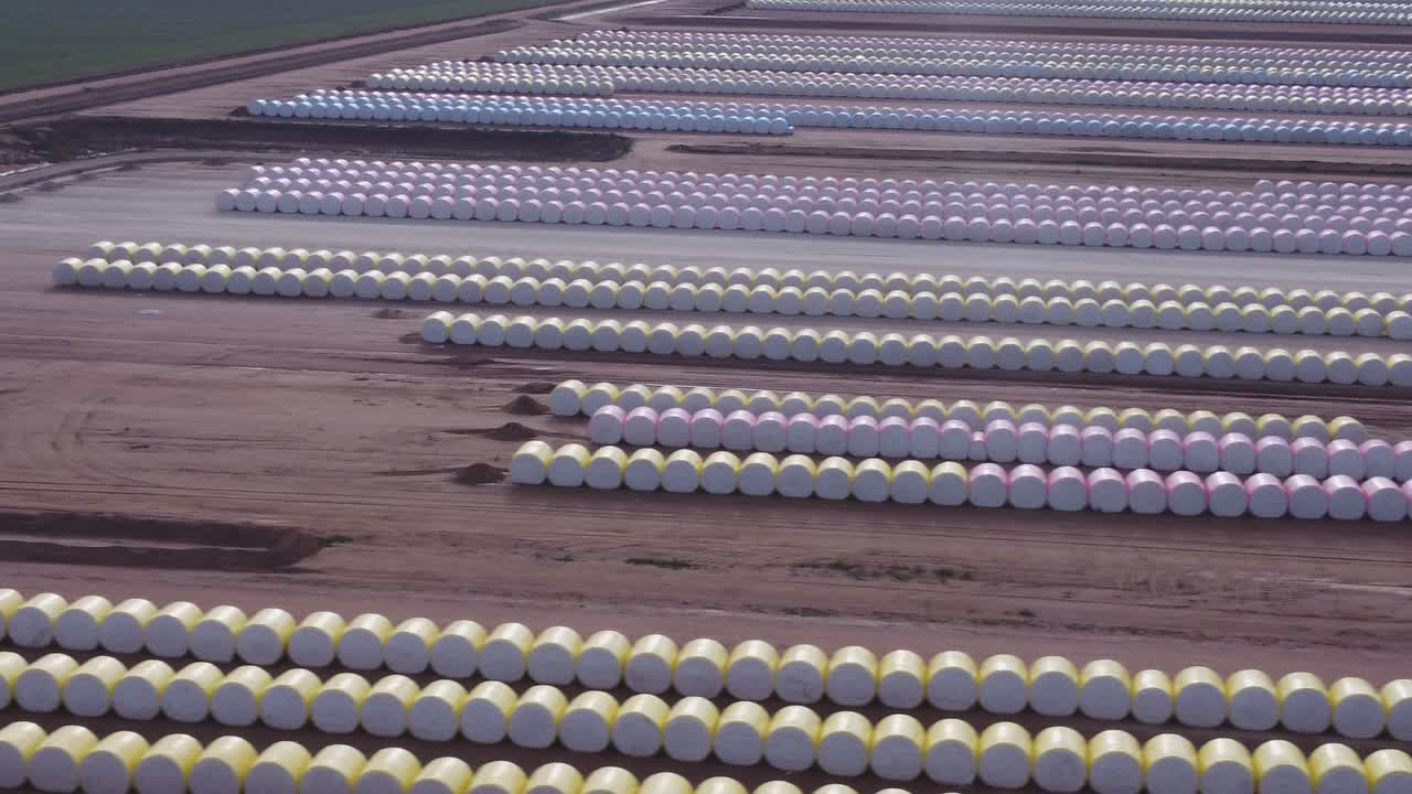 건 근처 의 면화 어리 들 의 공중 클립, 오른쪽 으로 으로 날아다니는 것