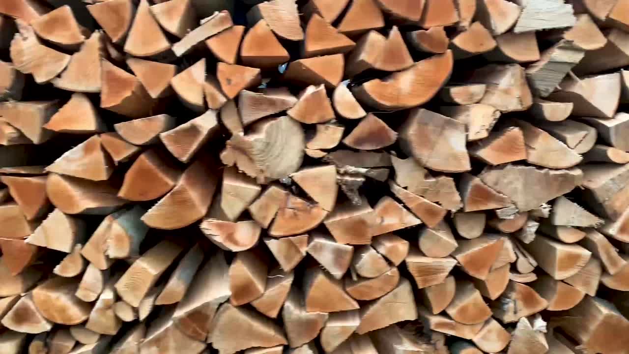 從森林到大自然中的木頭