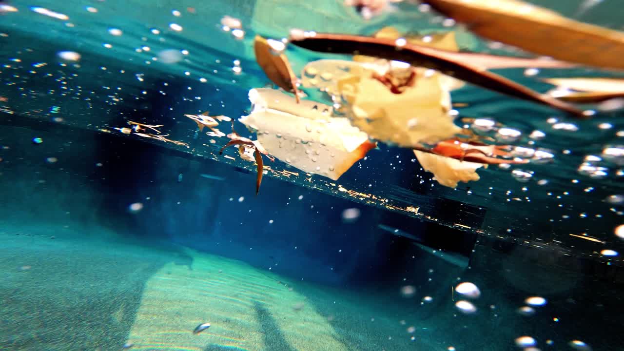 청록색 열대 바다에서 표면으로 떠오르는 수많은 작은 기포