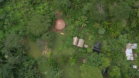 indigenous community huts houses pilón lajas biosphere reserve bolivia jungle rainforest