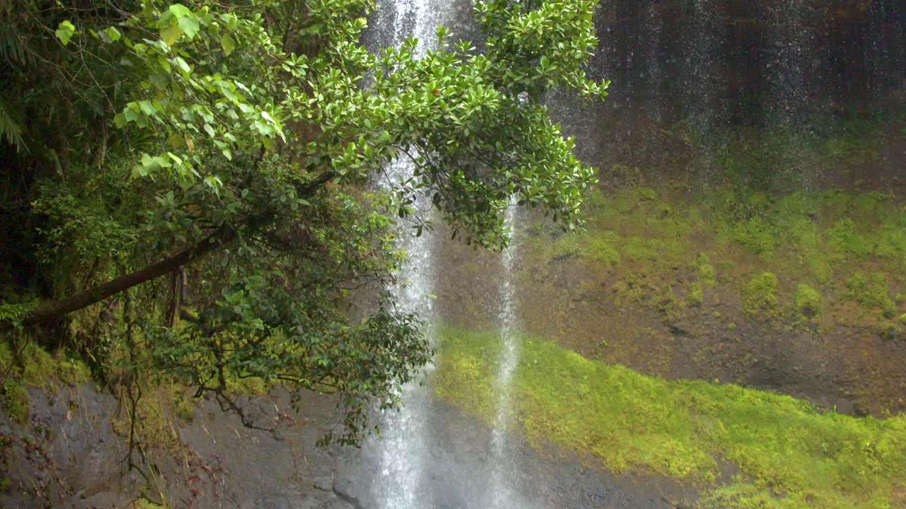A wide shot captures water cascading down a rocky cliff surrounded by lush green foliage