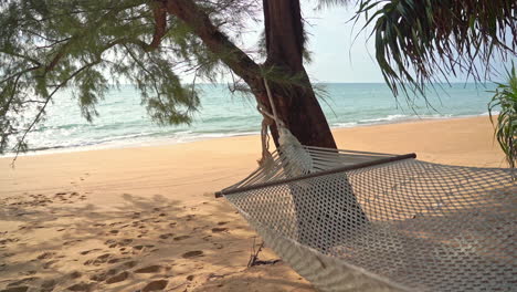 Hamcock-in-Tree-Shade-by-Sandy-Tropical-Beach-and-Light-Sea-Waves,-Slow-Motion-Full-Frame