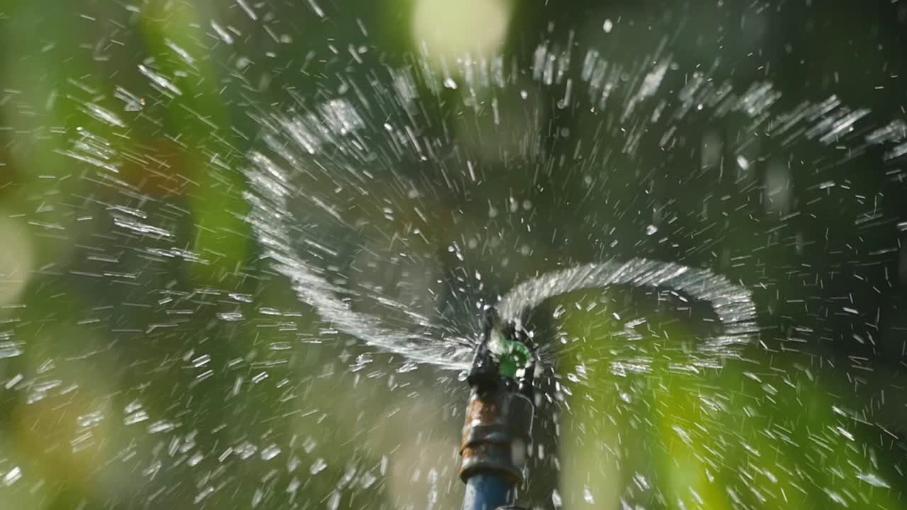 A sprinkler sprays water around to water the surrounding during summer as it cools off the heat of the sun in India