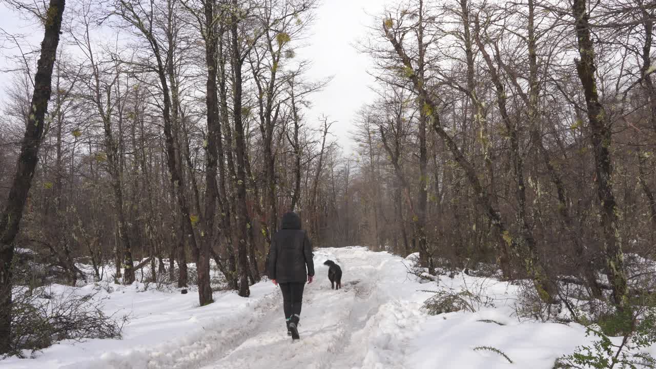 Mulher e cachorro caminhando por um caminho nevado em uma floresta na Patagônia.