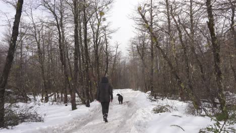 woman and dog walking along a snowy path in a forest in patagonia