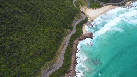 vista de un avión no tripulado de 4k de una camioneta que conduce a lo largo de la gran carretera del océano en victoria, australia