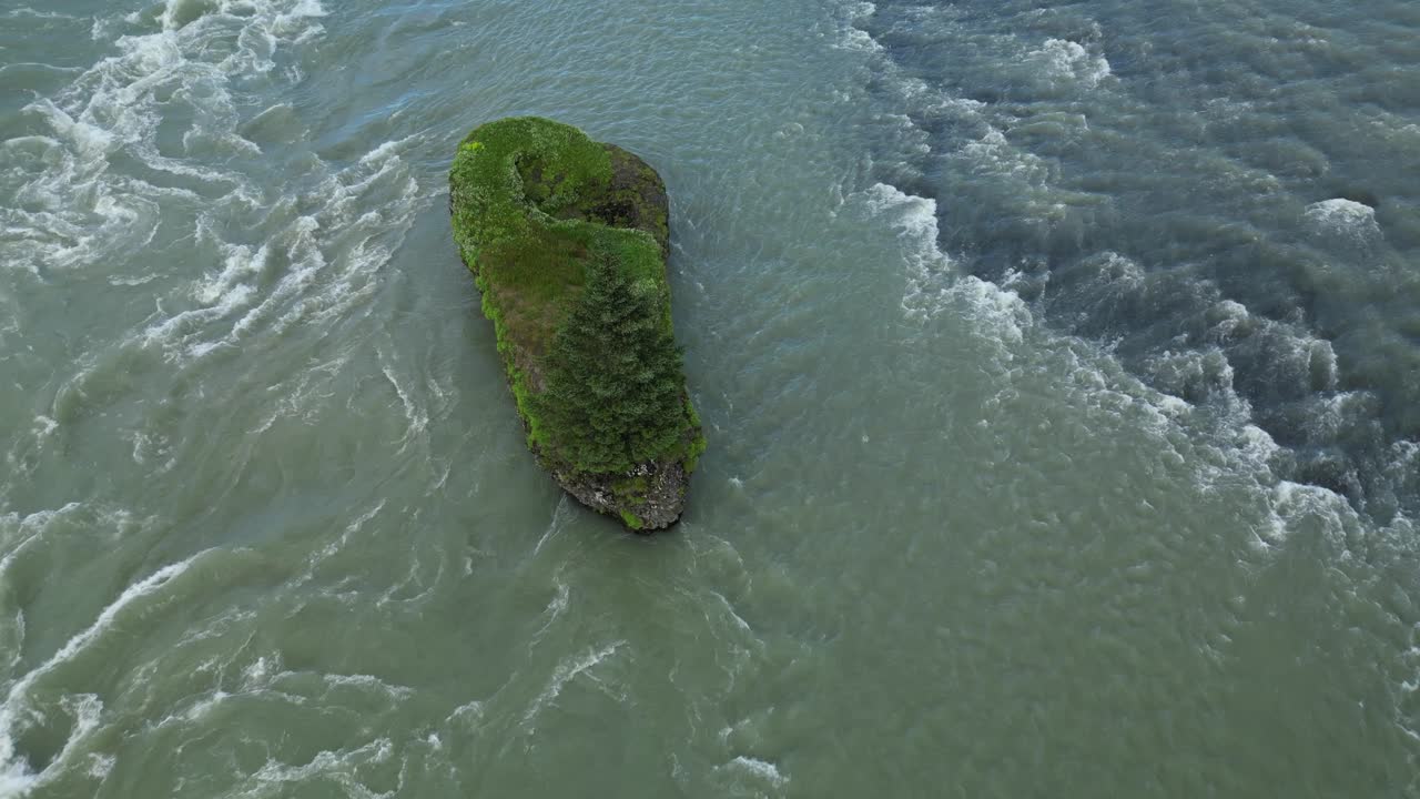 Impressive fir tree growing on an islet surrounded by rapidly flowing glacial river in southern Iceland
