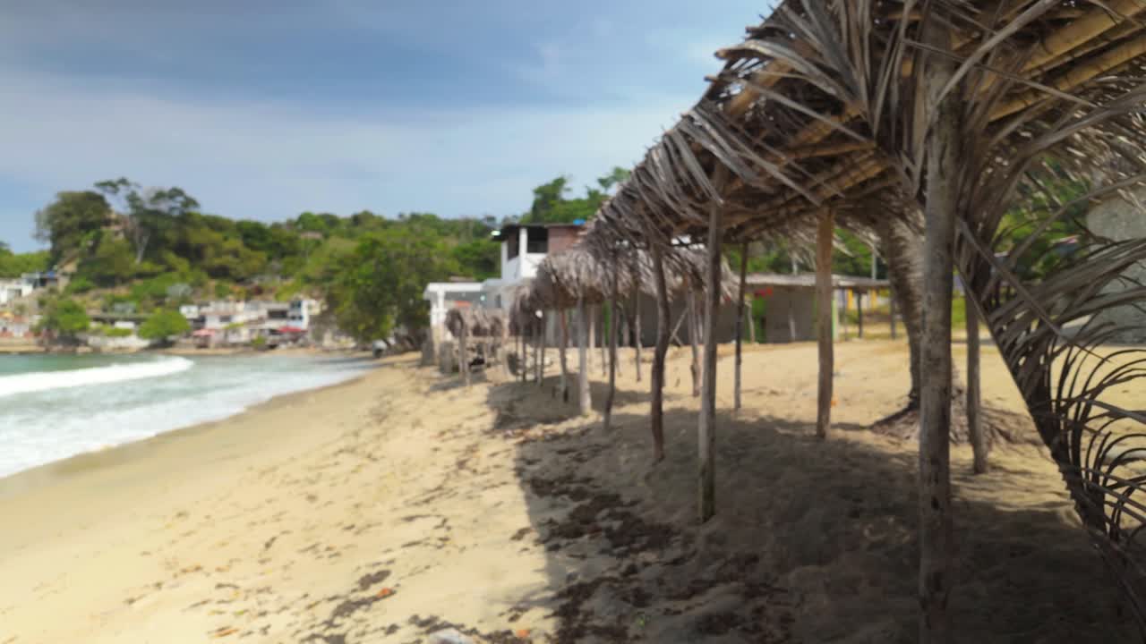 Palm leaves swaying at the beach shore with a scenic sea view and refuge huts