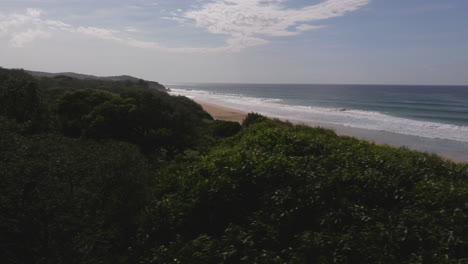 Drone-reveal-shot-of-empty-Gillard's-beach-next-to-dense-vegetation