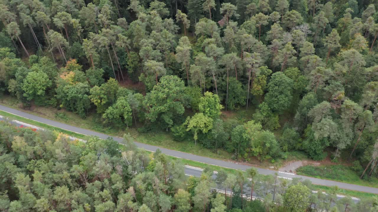 Aerial flight over a forest camera tilting down at a road, 4k