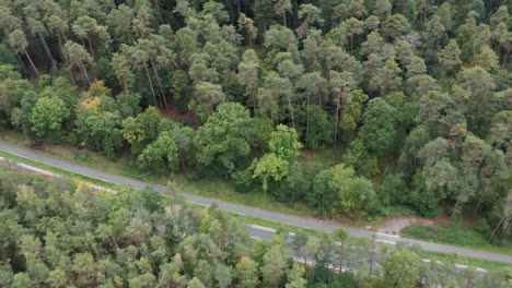 aerial flight over a forest camera tilting down at a road, 4k
