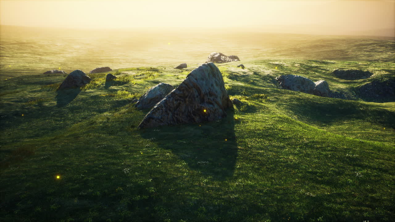 prado alpino con rocas y hierba verde