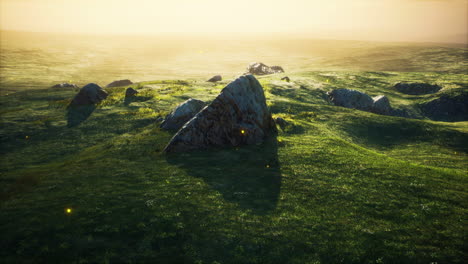 prado alpino con rocas y hierba verde