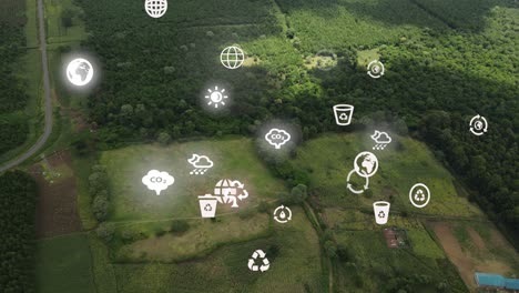 Drone-view--Africa-Forest--Kenya-and-Tanzania-Bush-fire-on-slopes-of-mount-Kilimanjaro-Loitokitok-Kenya