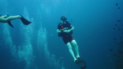 scuba diver exploring an underwater coral reef with schools of fish