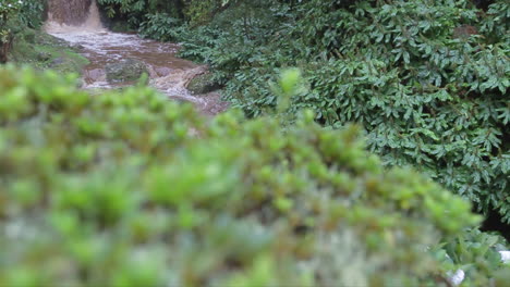 reveal shot of a small muddy stream