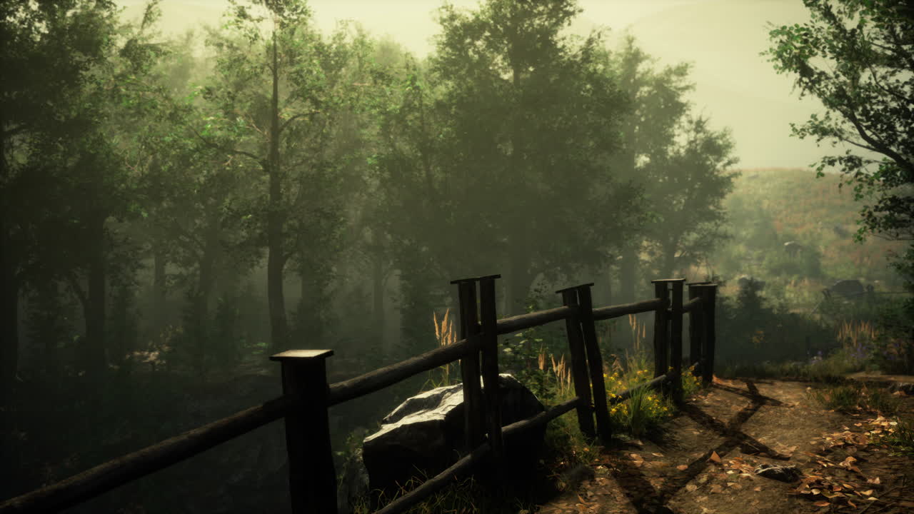 Forest in autumn morning mist