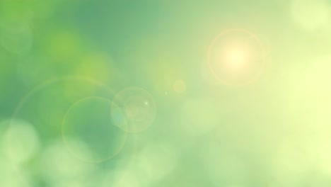 green bio background, abstract blurred foliage bright sunlight