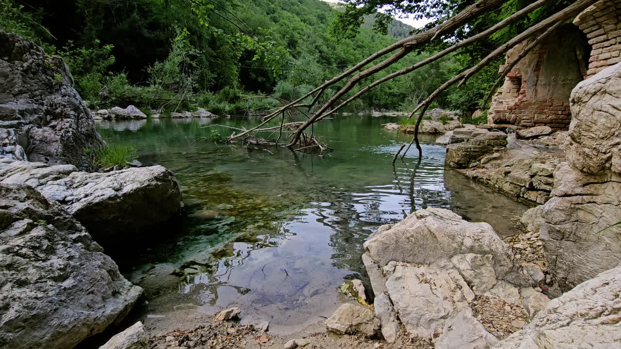 esta serena imagen de stock captura un pequeño río tranquilo con un flujo de agua lento, rodeado de exuberante vegetación