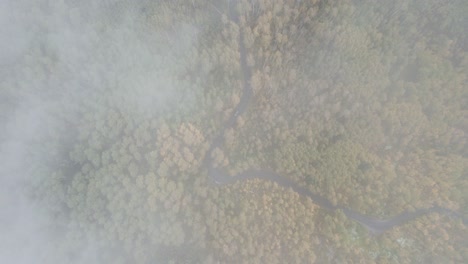 cloud cover above alpine loop in utah, aerial shot