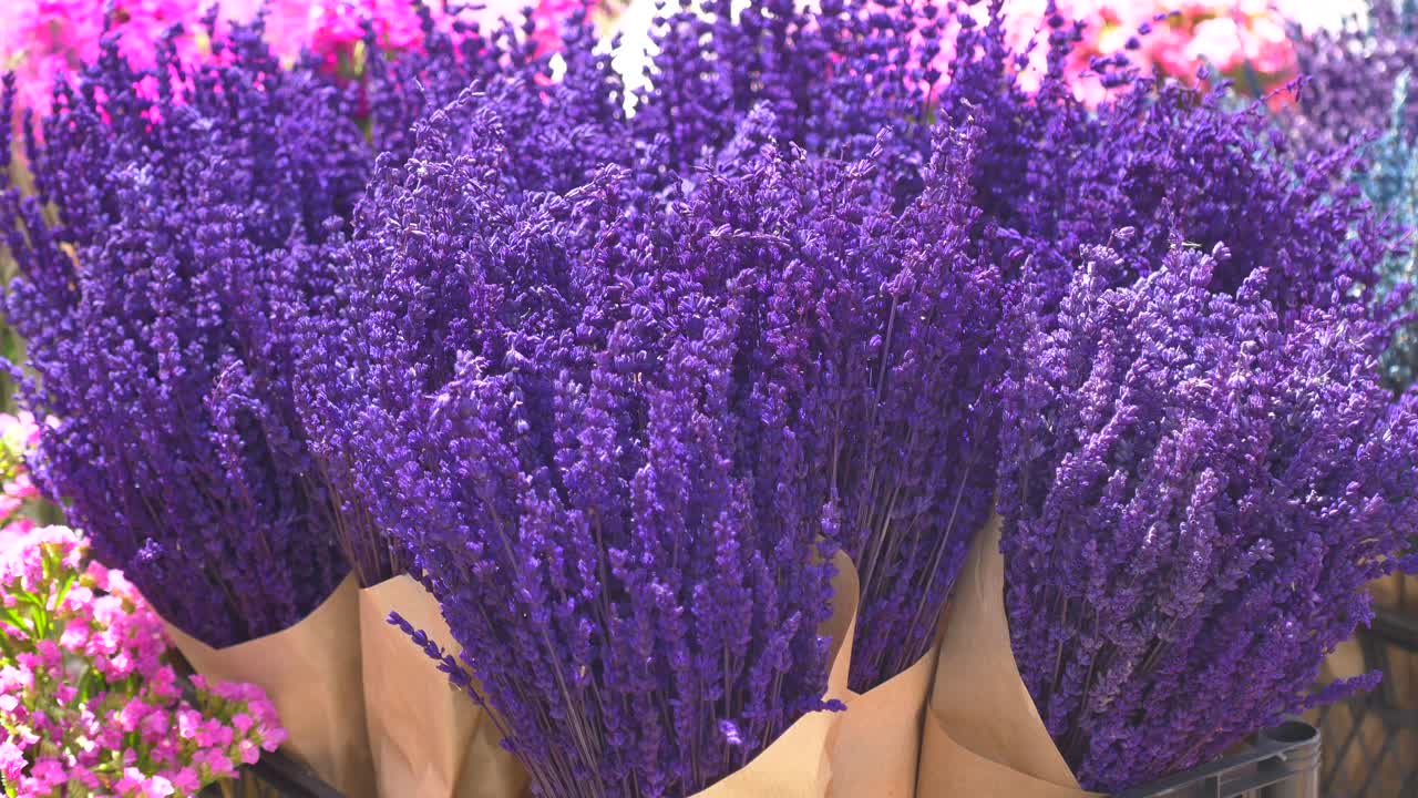 Purple Lavender Bouquets at a Flower Market