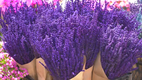 purple lavender bouquets at a flower market