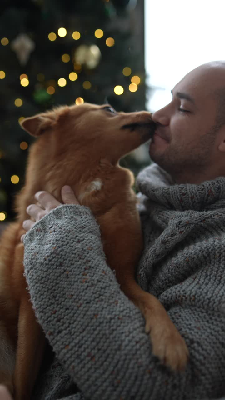 Uomo che bacia il suo cane, ambientazione natalizia