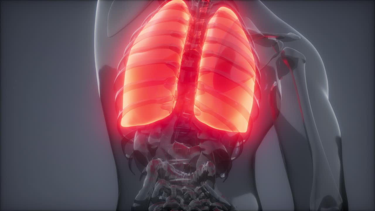 examen radiológico de los pulmones humanos