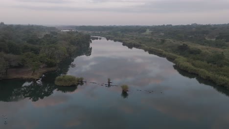 el dron desciende hacia el río komati temprano en la mañana, la sabana de bosque rodea el río.