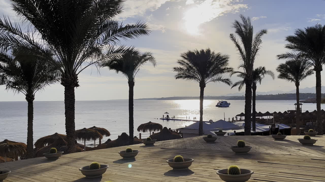 Resort balneare con palme in una giornata di sole