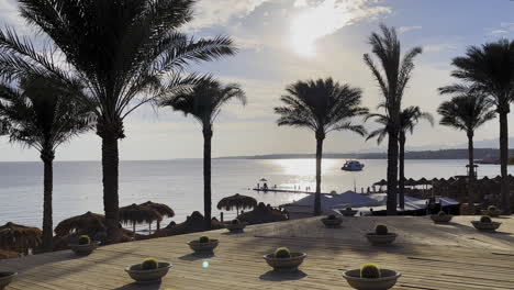 Seaside-Resort-with-palm-trees-on-a-sunny-day