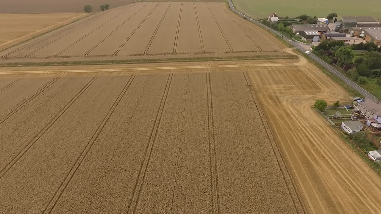 Harvest drone fly over fields pre harvest, trees and countryside in view