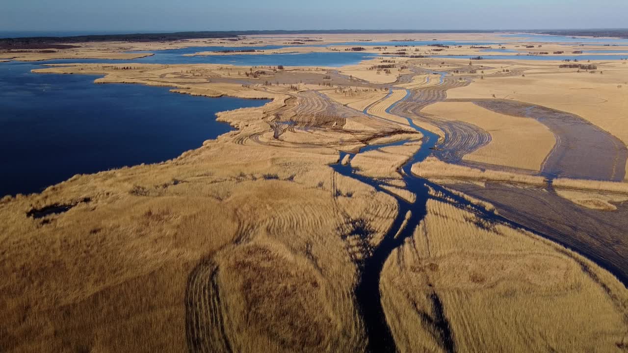 Vista aerea del lago invaso da canne marroni, Parco Naturale del Lago Pape, Rucava, Lettonia, in una soleggiata giornata di primavera. Ripresa con drone grandangolare in movimento in avanti, vista a volo d'uccello.