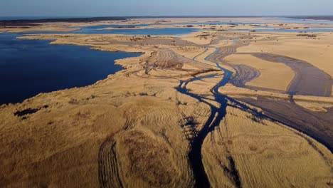 vista aérea del lago cubierto de juncos marrones, parque natural del lago pape, rucava, letonia, día soleado de primavera, tiro de drone de gran angular avanzando, vista de pájaro