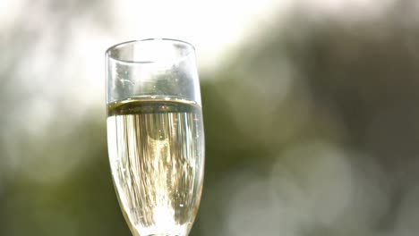 close up view of a champagne glass