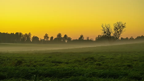 Nubes-Bajas-De-Niebla-Que-Envuelven-Prados-De-Hierba-Verde-Al-Amanecer