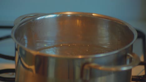 putting white cauliflowers in hot boiling water on kitchen stove, close up full frame