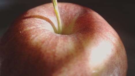 un primerísimo plano de manzana fresca girando iluminado con luz solar brillante