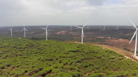 aerial shot panning over a forest towards a wind farm in barao de sao joao, portugal.