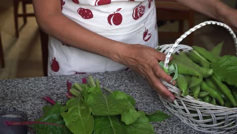 Woman-preparing-fresh-home-grown-chard-and-broad-beans-from-garden