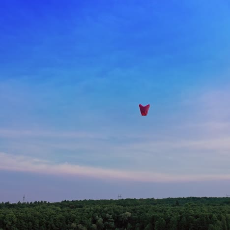 paper lanterns floating in sky