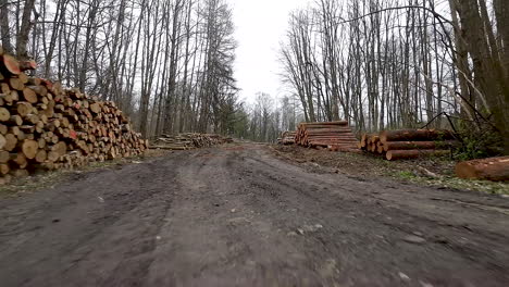 Stacks-of-wooden-logs-destined-for-commercial-timber-industry,-export-product