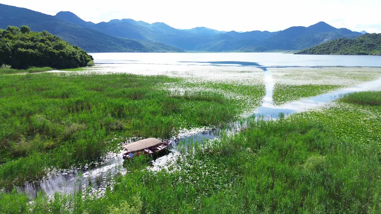 Lake Skadar lush swamp vegetation, lies on the border of Albania and Montenegro, Establishing drone shot