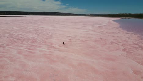 Reverse-Dolly-Drohnenansicht-Einer-Einsamen-Frau,-Die-Auf-Dem-Hutt-Lagoon-Pink-Lake-In-Westaustralien-Spaziert