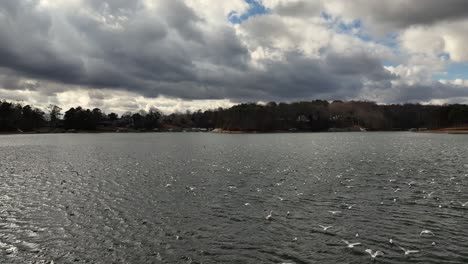 Drone-view-of-Lake-Lanier-in-Cumming-Georgia