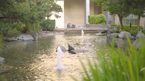 a large pond in a park in vancouver, canada